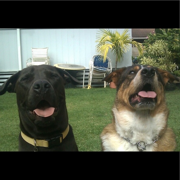 Meet your Posher, Kory - Picture 4 of 16